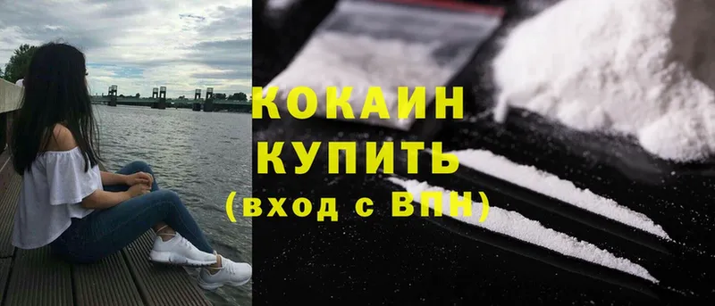 Cocaine FishScale  как найти наркотики  Беломорск 